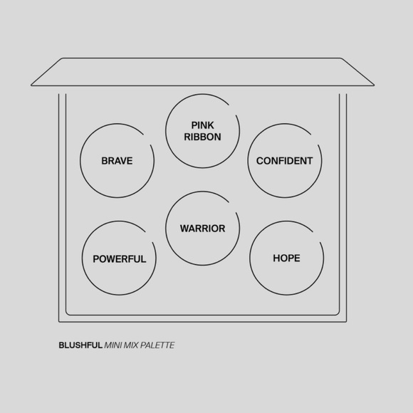 OFRA COSMETICS.  MINI MIX FACE PALETTE - BLUSHFUL - Picture 4 of 4